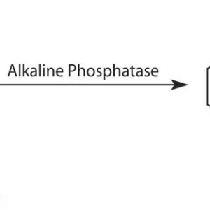p-Nitrophenyl phosphate chromogenic, tablet
